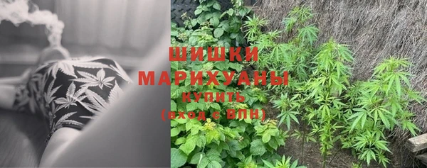 трава Лагань