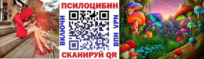 Галлюциногенные грибы Psilocybe  OMG сайт  Хадыженск  купить закладку 